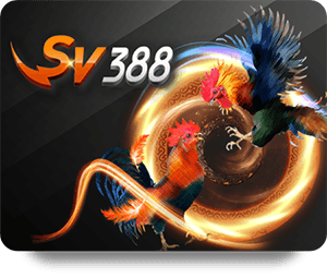Customer Support Excellence at THA BET Casino Royal Reviewed